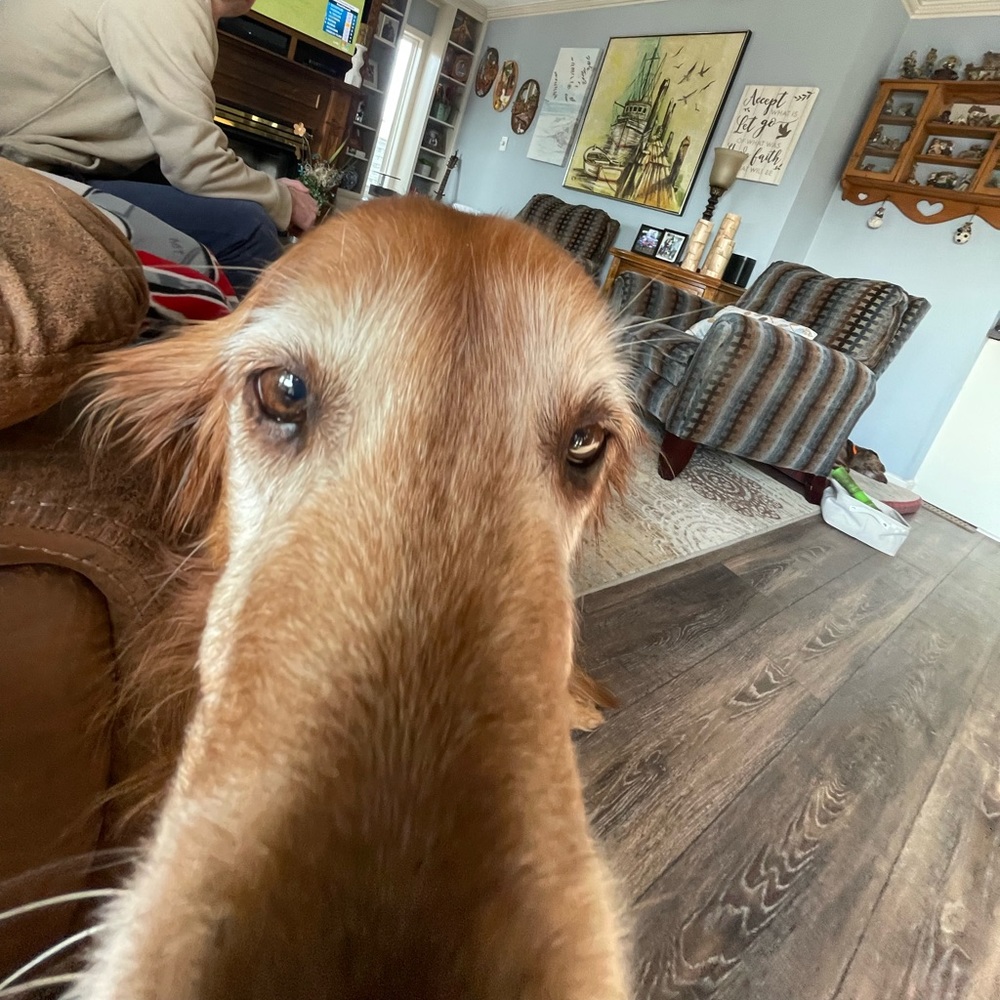 Meet your Posher, Audra